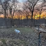 Christopher Dickinson - @flarggg - Instagram