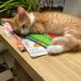 Christopher Dickinson - Facebook