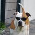 Christopher Diehl - Facebook