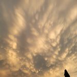 Christopher Diehl - @chri.diel - Instagram