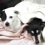 Christopher Diesen - @dukeman2005 - Instagram