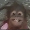 chris - @christopherpadill73 - TikTok