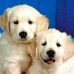 Christopher Dilling - Facebook