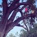 Christopher C. Dillon - Facebook