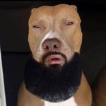 Christopher Dillon - @christopher.dillon.3572 - Instagram