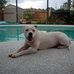 Christopher DiPaolo - Facebook
