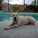Christopher DiPaolo - @christopher.dipaolo.9 - Instagram