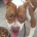 Cristopher Desanto - Facebook