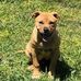 Christopher Doss - Facebook
