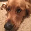 Christopher Doss - @christopherdoss32 - TikTok