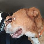 Christopher Dover - @doversback - Instagram