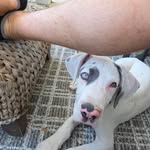 Shawn Christopher Dover - @shawndover3 - Instagram