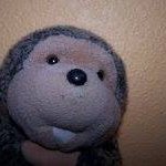 Christopher Downs - @downs6812 - Instagram