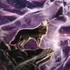 Wulf77 - @christopherdowns0 - TikTok
