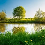 Christopher Doyle - @christopherdoylenpf12706 - Instagram