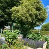 Christopher Doyle - @christopher.doyle24 - TikTok