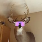 Christopher Dragotta - @dragottachristopher - Instagram