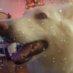 Christopher Dubay - @chrisjr12436 - Instagram