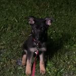 Christopher Dubay - @cwd1099 - Instagram