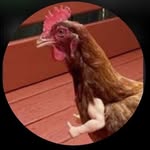 Christopher Ducote - @border_hopper807 - Instagram