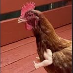 Christopher Ducote - @cducote01 - Instagram