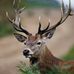 Christopher Duffield - Facebook