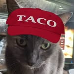 Christopher Earle - @felix_t_lolcat - Instagram