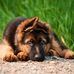 Christopher Eberhardt - Facebook