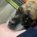 Christopher Eberhardt - Facebook
