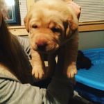 Christopher Eckert - @eckert3462 - Instagram