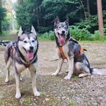 Christopher Eckert - @christopher.eckert - Instagram