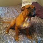 christopher eckert - @eckert.christopher - Instagram