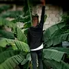 Christopher Elie - @christ.x456 - TikTok