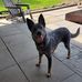 Christopher Elmer - Facebook