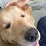 Christopher Elmer Sudario - @christopherelmersudario - Instagram