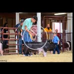Christopher Engle - Facebook