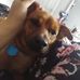 Christopher Enos - Facebook