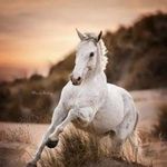 Enos christopher solomon - @enos_christopher_solomon - Instagram