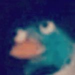 SHEP_FB - @christopher.enos1234 - Instagram