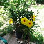 Christopher Fair - @christopher.fair.39 - Instagram