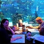Christopher Faircloth - @chris.faircloth.81 - Instagram