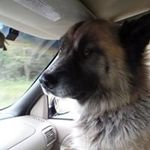 Brian Christopher Ferrell - @brianchristopherferrell - Instagram