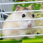Christopher Field - @chrissyfield123 - Instagram