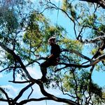 Christopher Field - @third.dimensional.field - Instagram