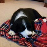 Christopher Fleming - @christopher.fleming.5836 - Instagram