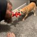 Christopher Flowers - Facebook