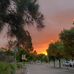 Christopher Foti - Facebook