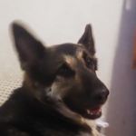 Christopher Foxworthy - @christopherfoxworthy - Instagram