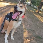 Christopher Francisco - @christopherfrancisco359 - Instagram