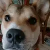 Christopher Francisco - @christopher.franc89 - TikTok